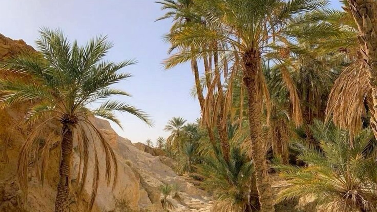 Photo of Outdoor in Tiznit