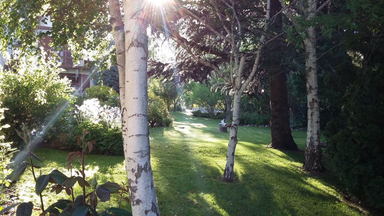 Photo of Outdoor in Trelew