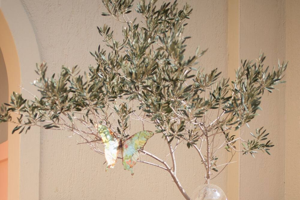 Photo of Others in Agia Paraskevi