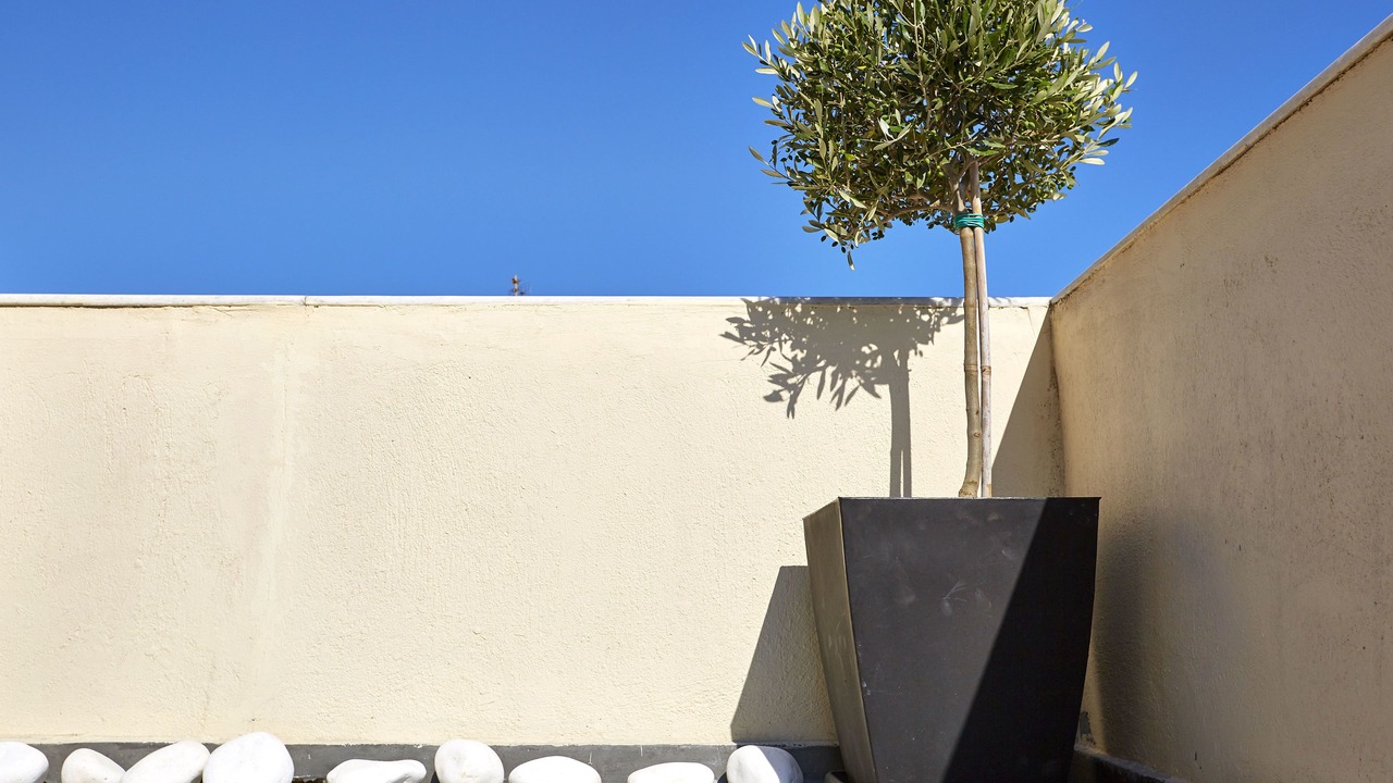 Photo of Outdoor in Messaria