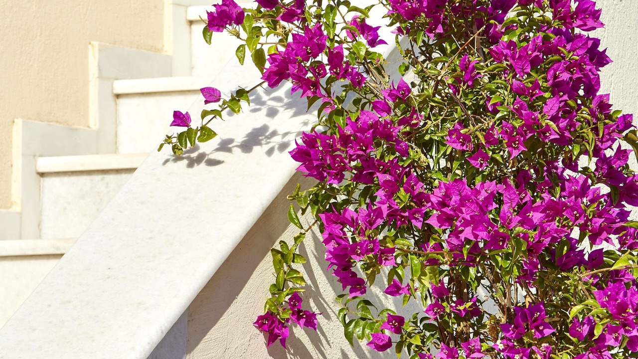 Photo of Outdoor in Messaria