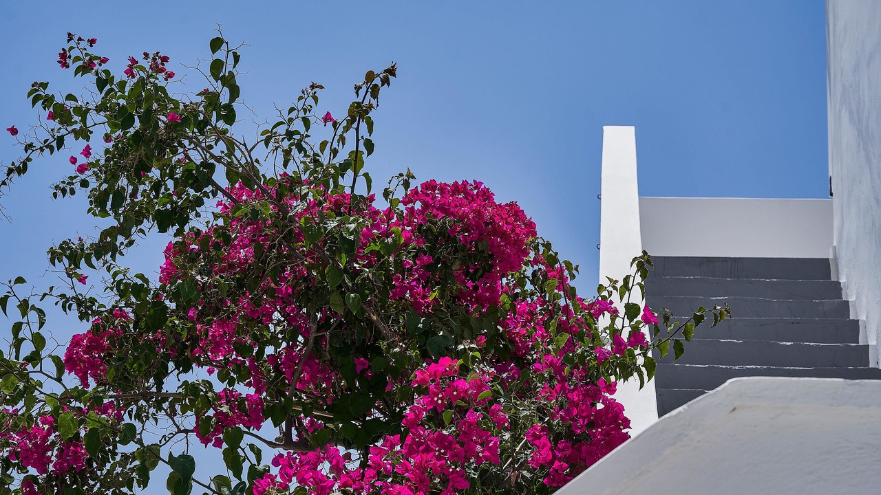 Photo of Others in Agios Georgios