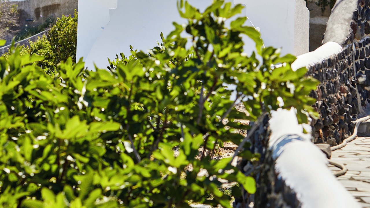 Photo of Outdoor in Finikia