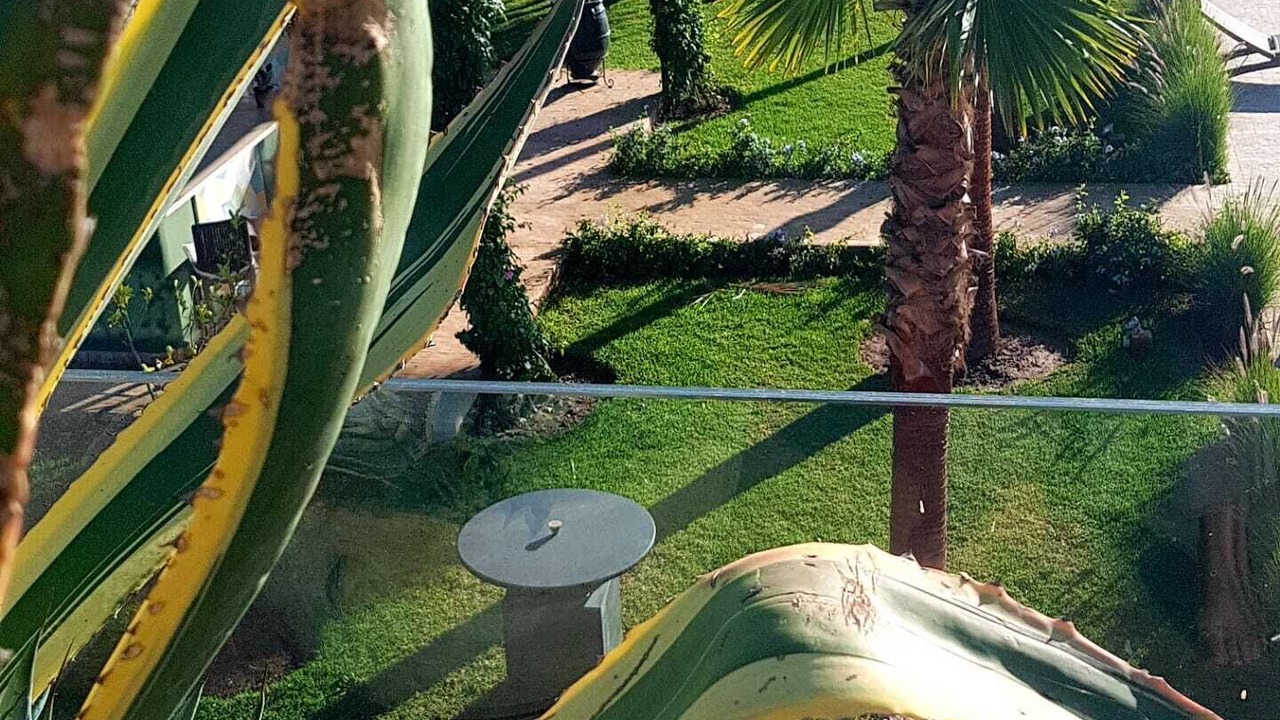 Photo of Outdoor in Mechouar-Kasbah