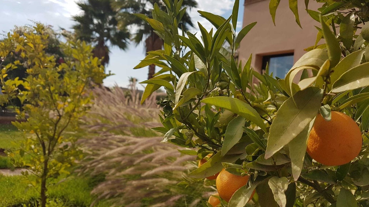 Photo of Outdoor in Mechouar-Kasbah