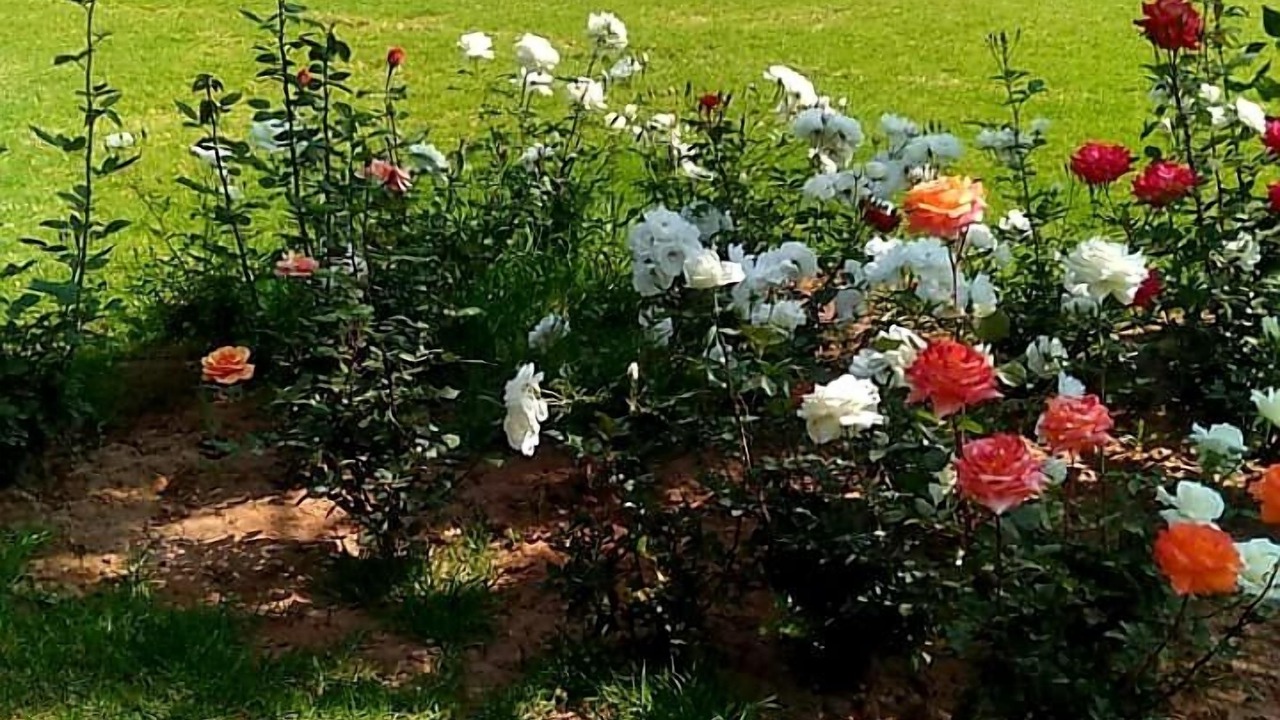 Photo of Outdoor in Mechouar-Kasbah