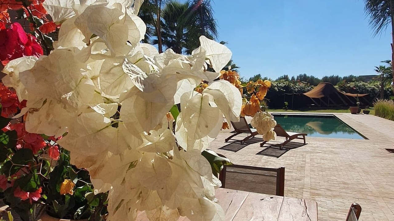 Photo of Outdoor in Mechouar-Kasbah