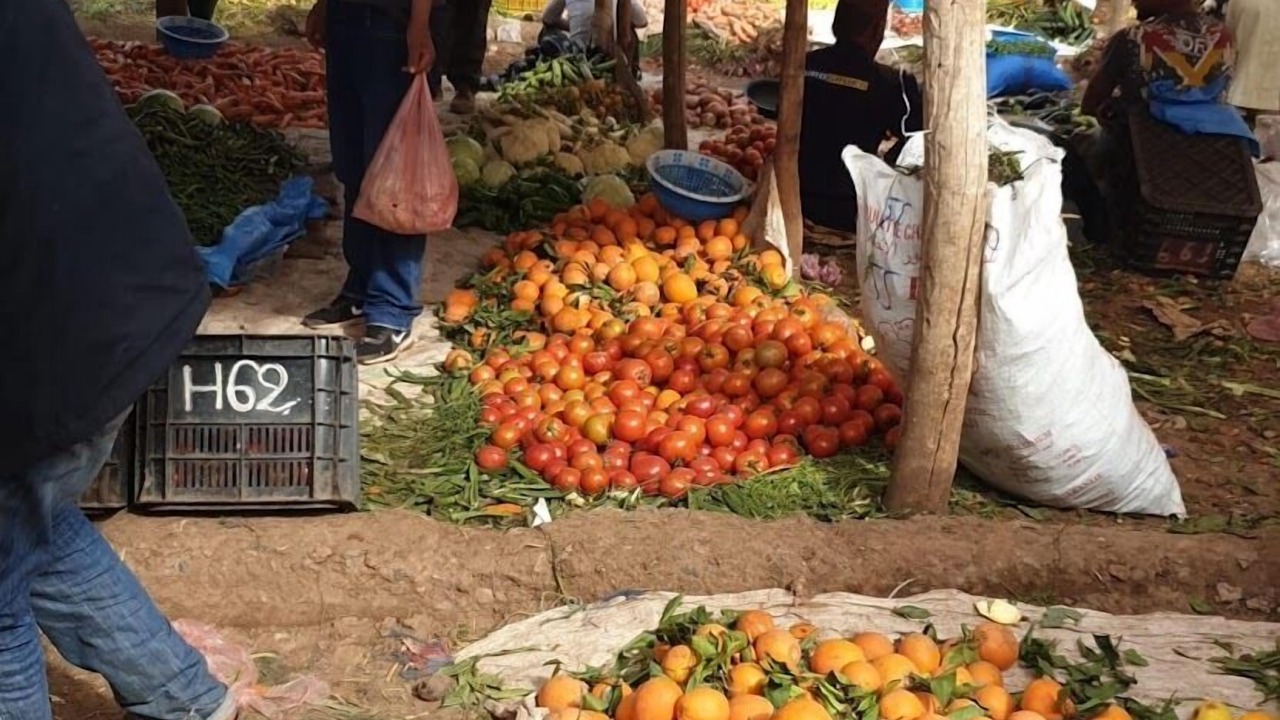 Photo of Outdoor in Sti Fadma