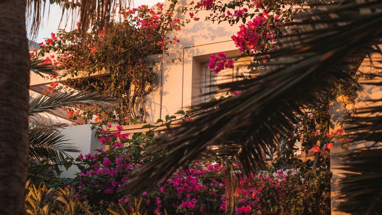 Photo of Outdoor in Agios Georgios