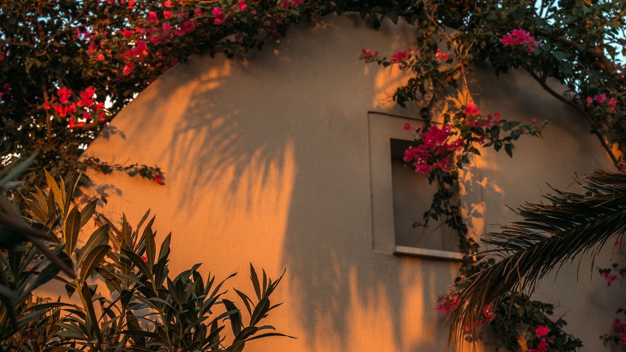 Photo of Outdoor in Agios Georgios