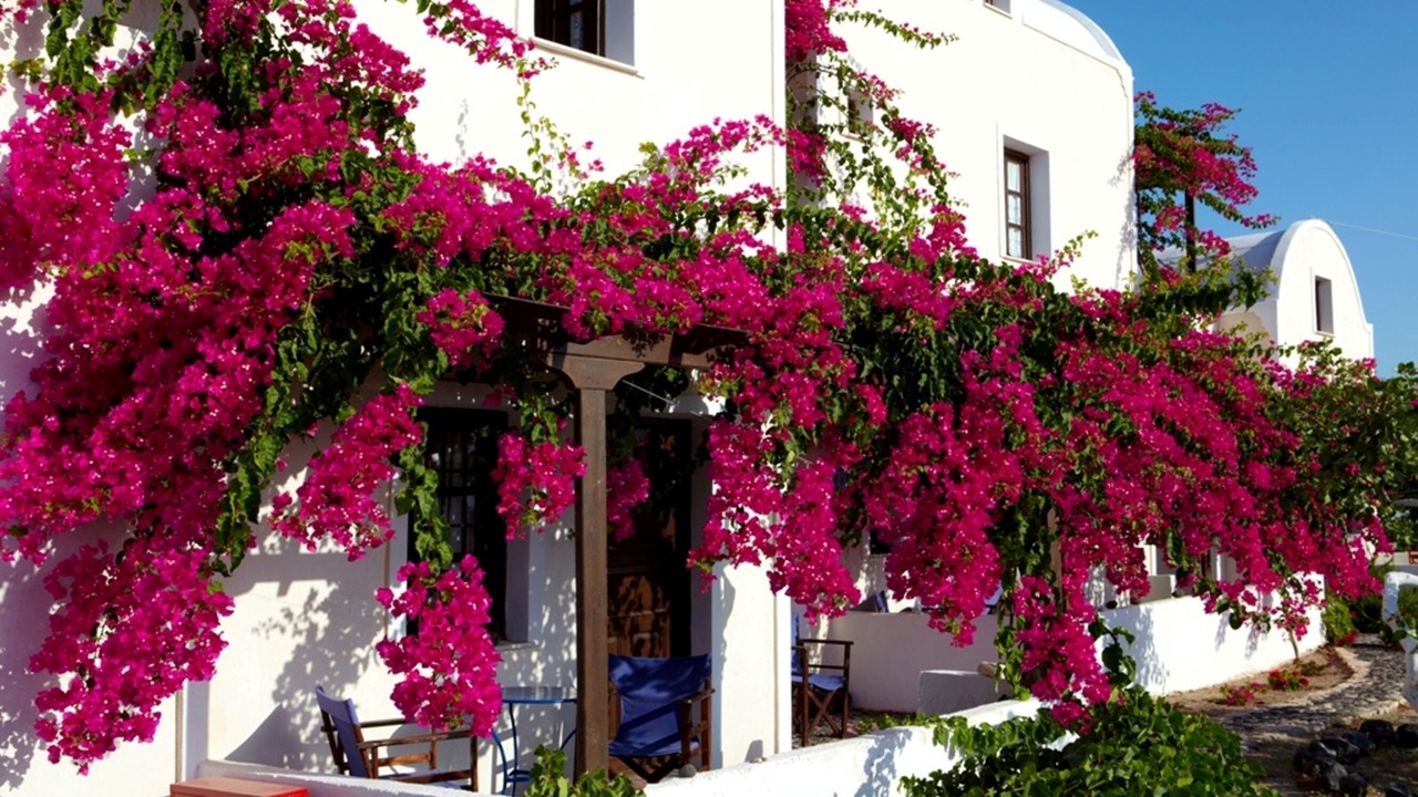 Photo of Outdoor in Agia Paraskevi