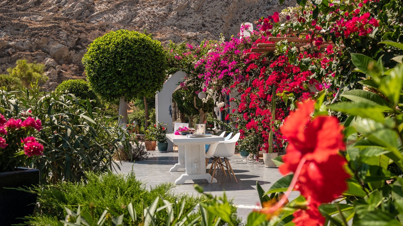 Photo of Outdoor in Kamari