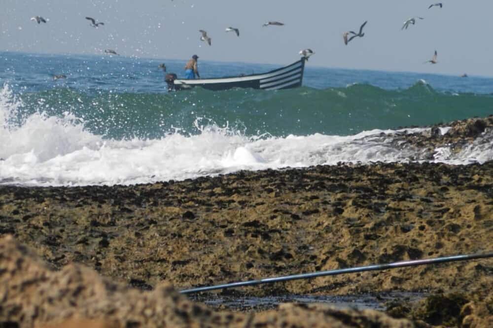 Photo of Others in Oualidia