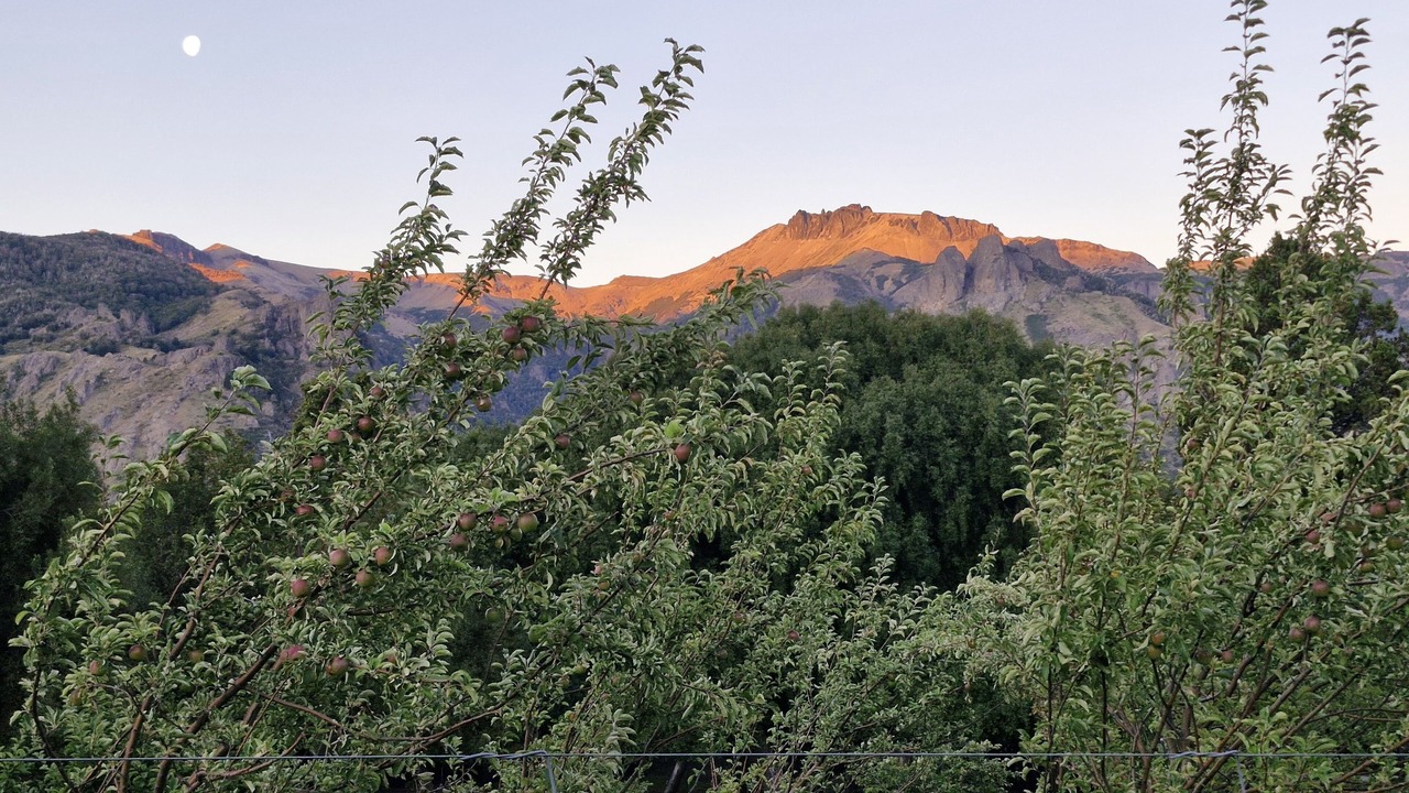 Photo of Outdoor in Meliquina