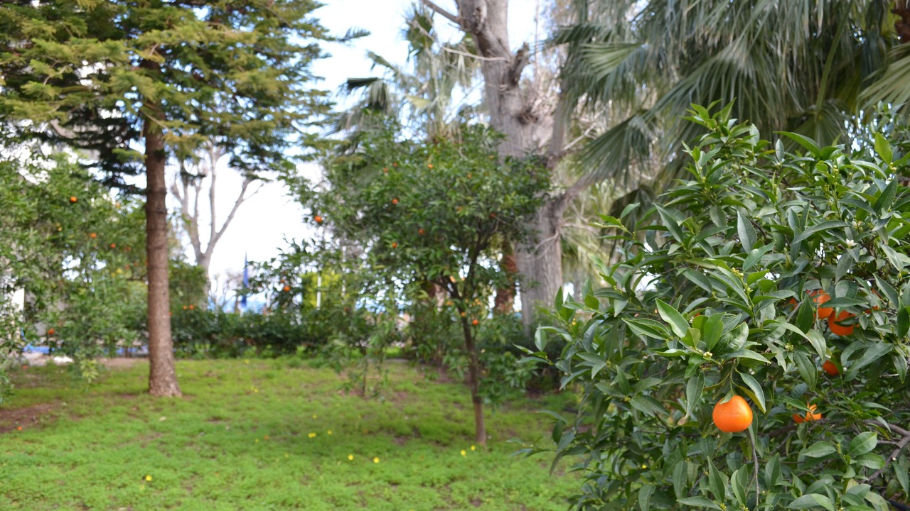 Photo of Outdoor in Melissopetra