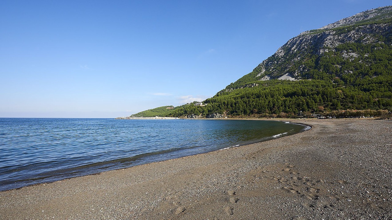 Photo of Others in Pilio