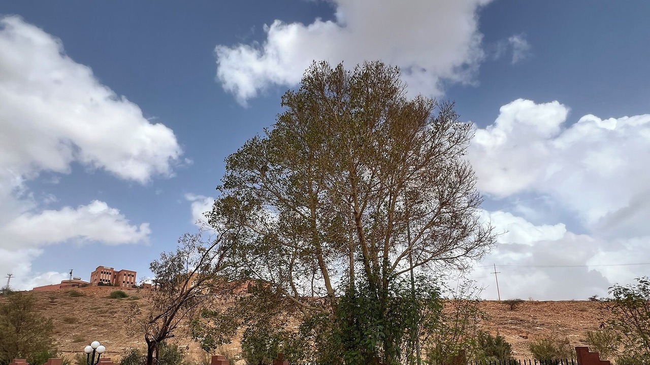 Photo of Outdoor in Tata