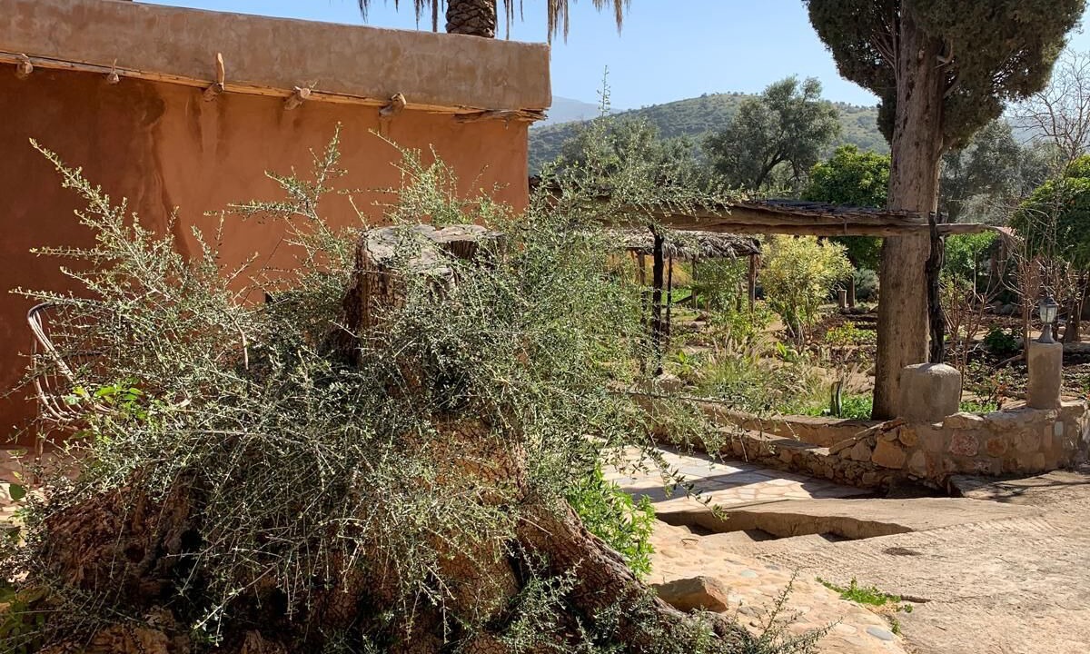 Photo of Outdoor in Bouchfaa