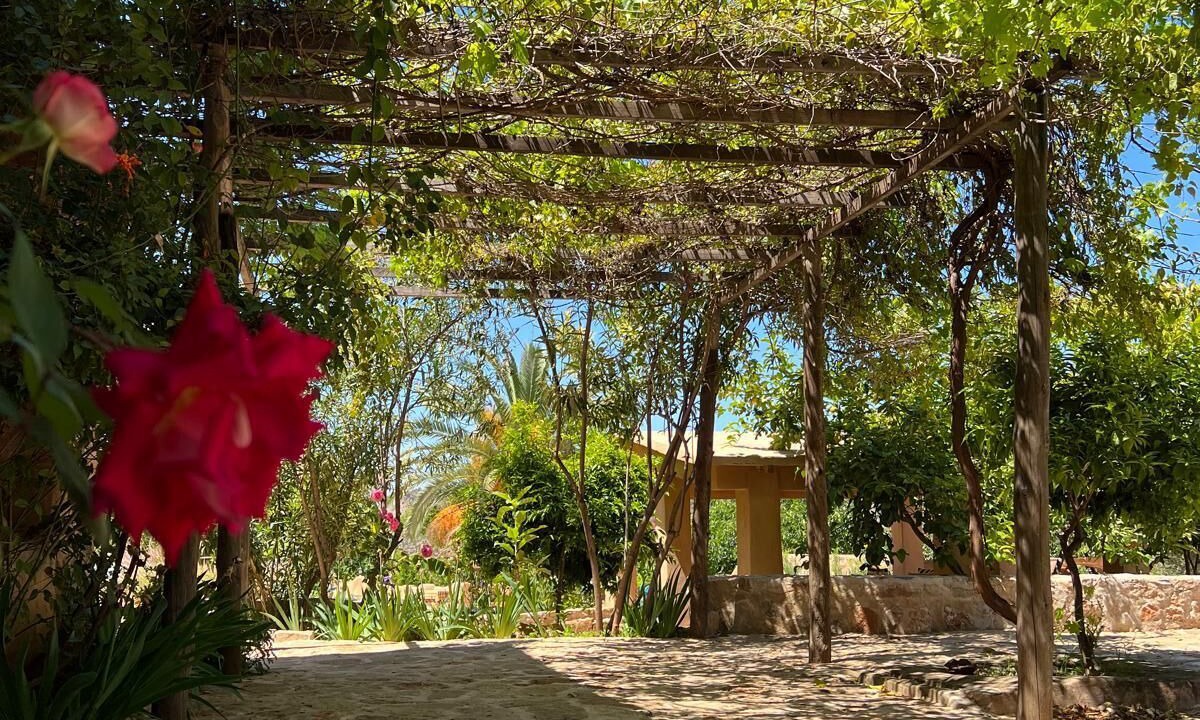 Photo of Outdoor in Bouchfaa
