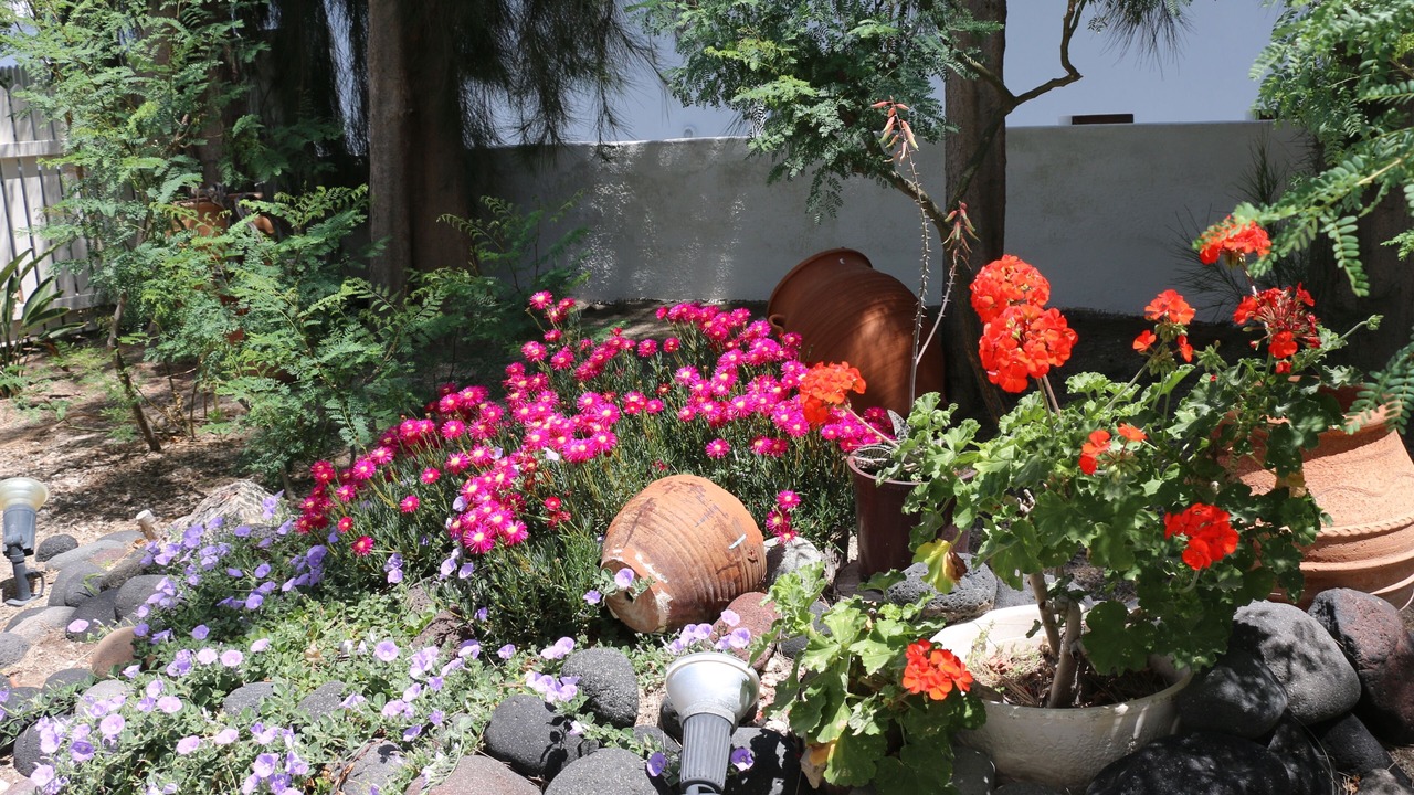 Photo of Outdoor in Perissa