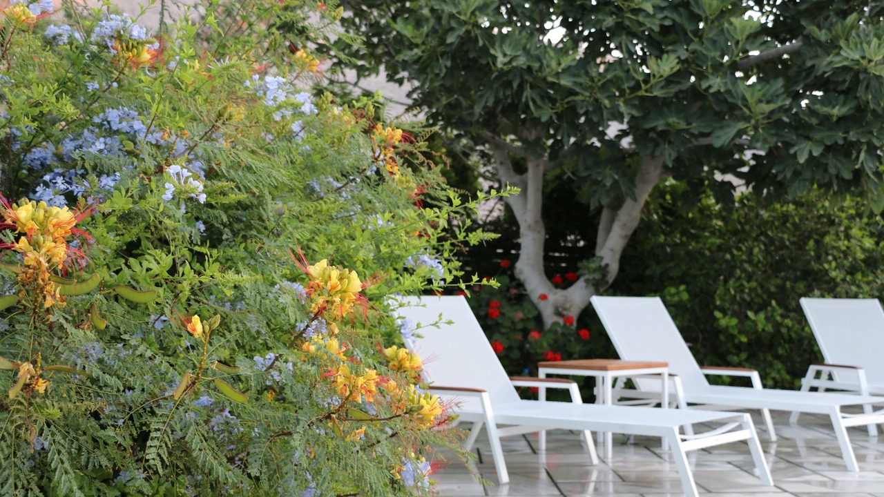Photo of Outdoor in Perissa