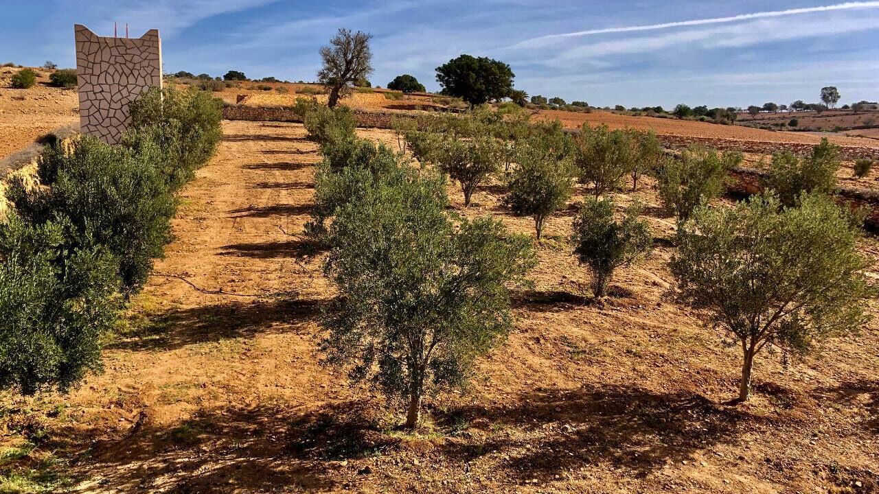 Photo of Outdoor in Lahsinate