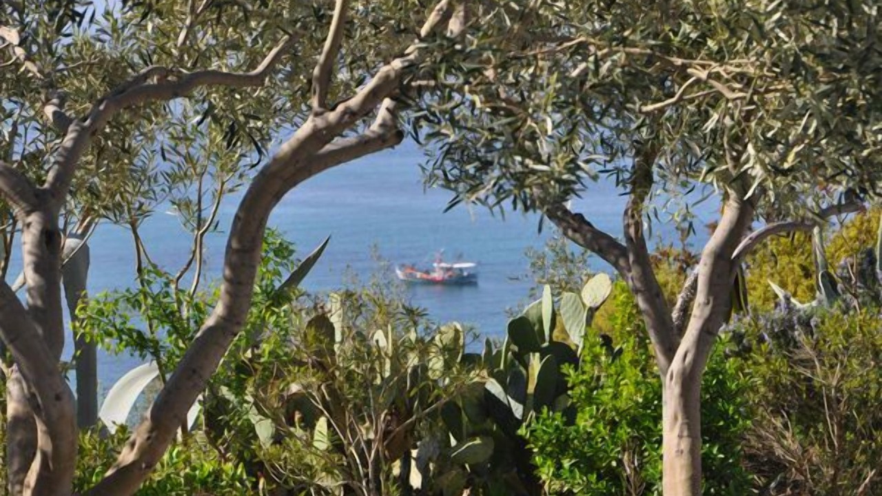 Photo of Others in Ouranoupoli