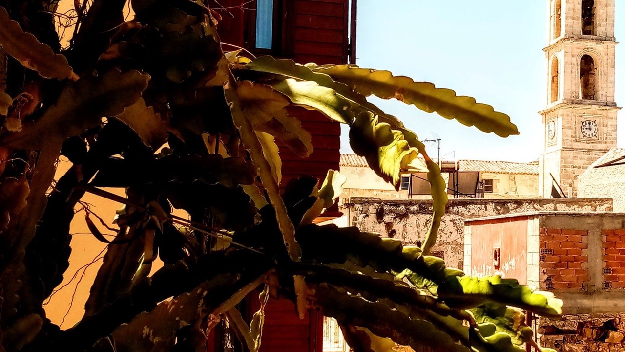 Photo of Others in Chania Old City