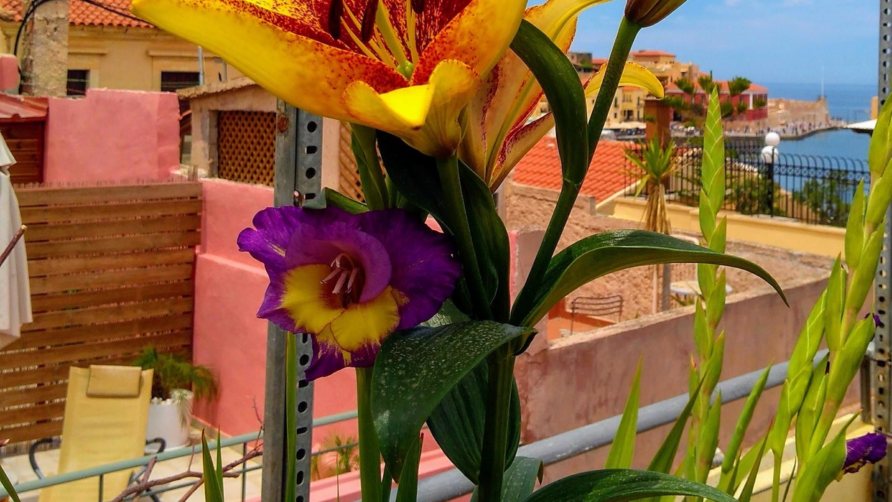 Photo of Outdoor in Chania Old City