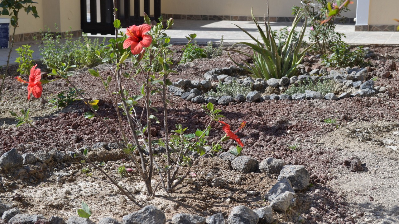 Photo of Outdoor in Karterados