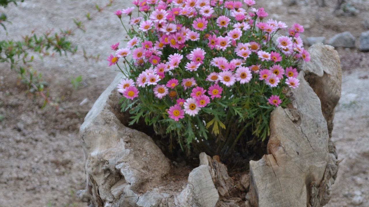 Photo of Outdoor in Karterados