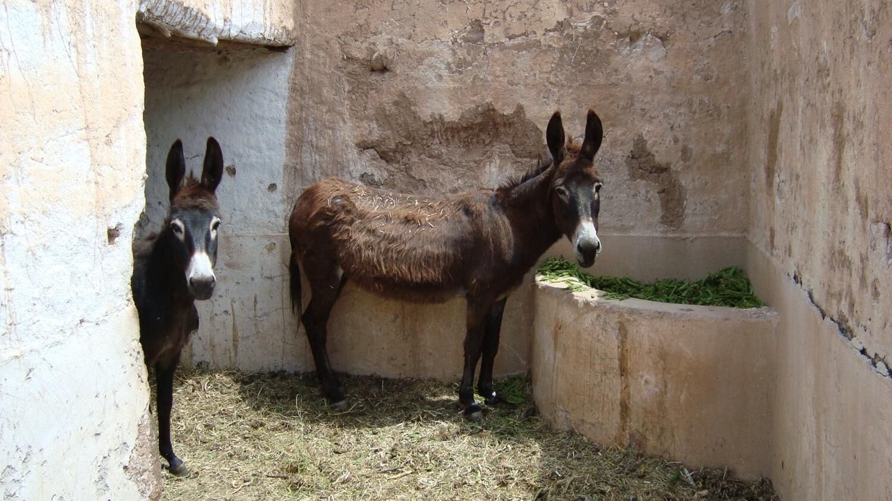 Photo of Outdoor in Sidi Badhaj