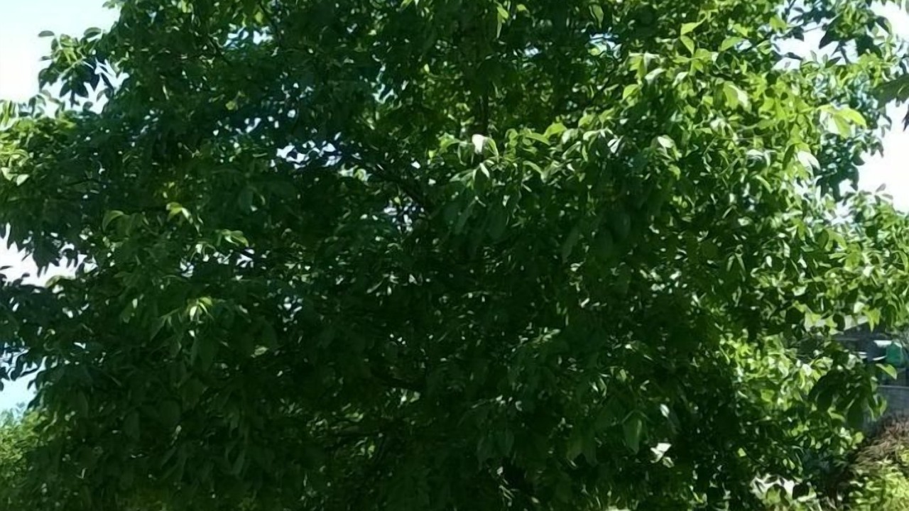 Photo of Outdoor in Karitsa