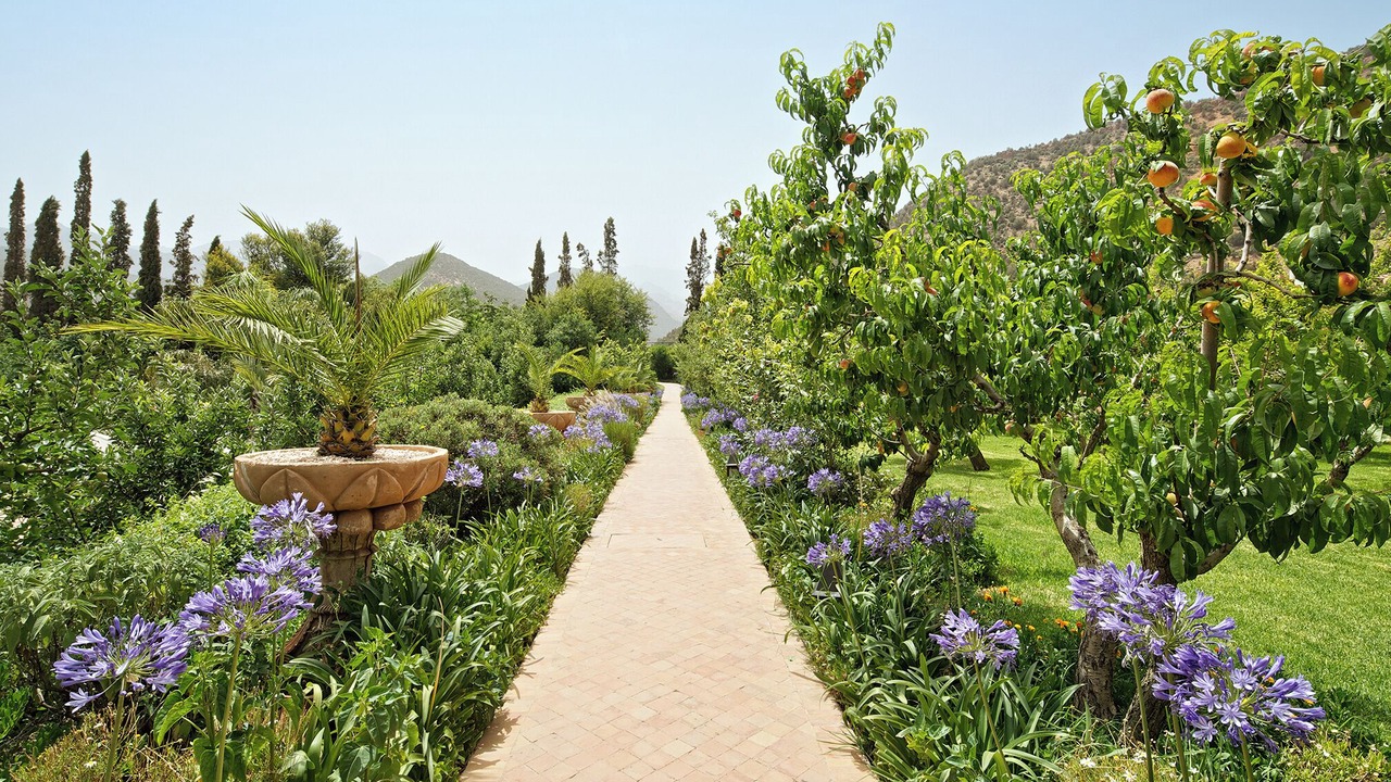 Photo of Outdoor in Asni