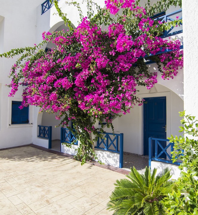 Photo of Outdoor in Perivolos