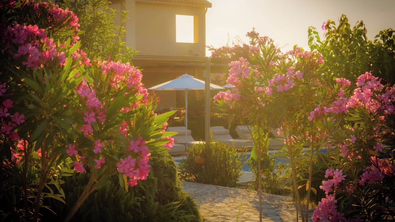 Photo of Outdoor in Skala