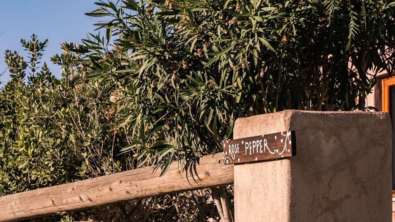 Photo of Others in Oia