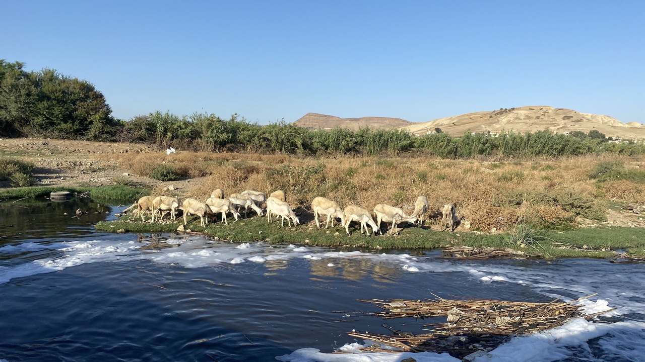 Photo of Outdoor in Ain Kansra