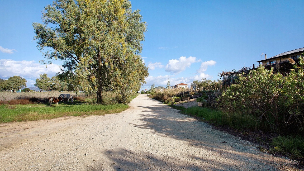 Photo of Others in Limni Keri