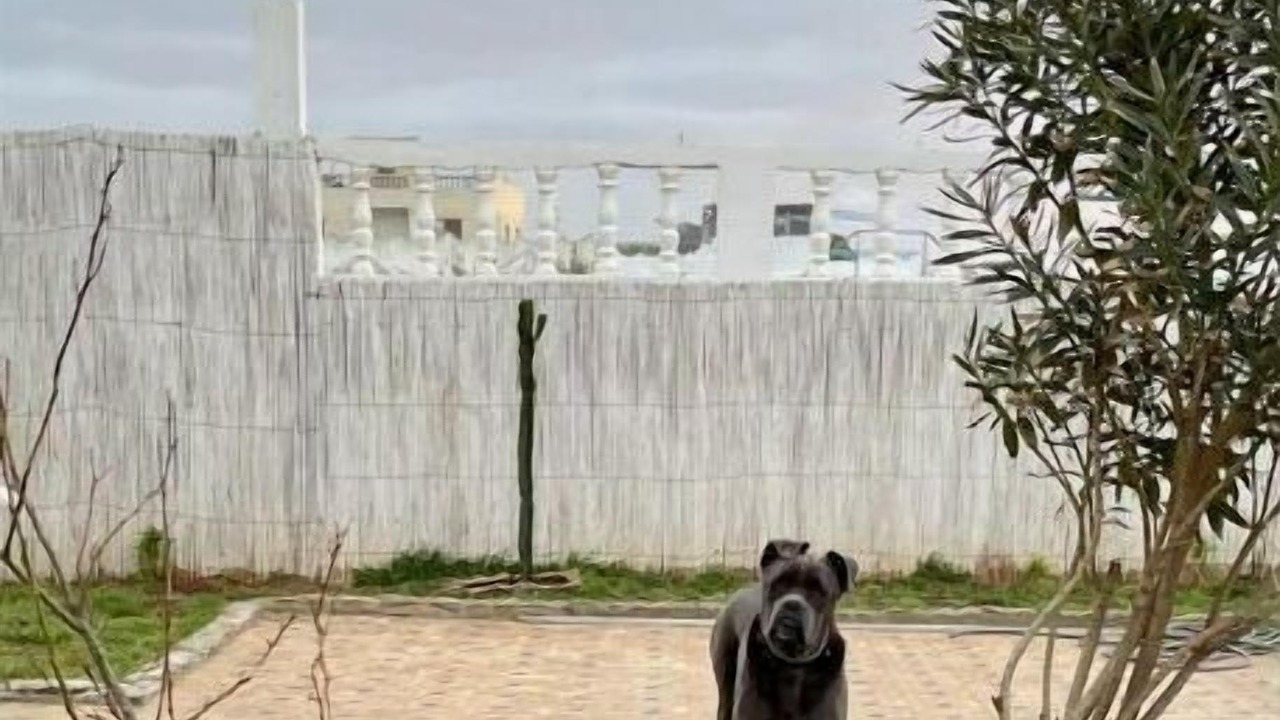 Photo of Outdoor in Briech