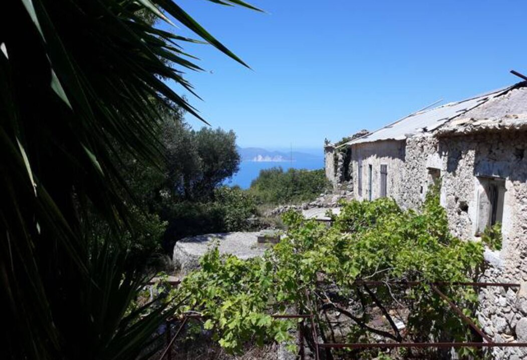 Photo of Others in Assos