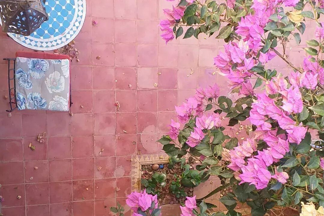 Photo of Outdoor in Tnine Aglou