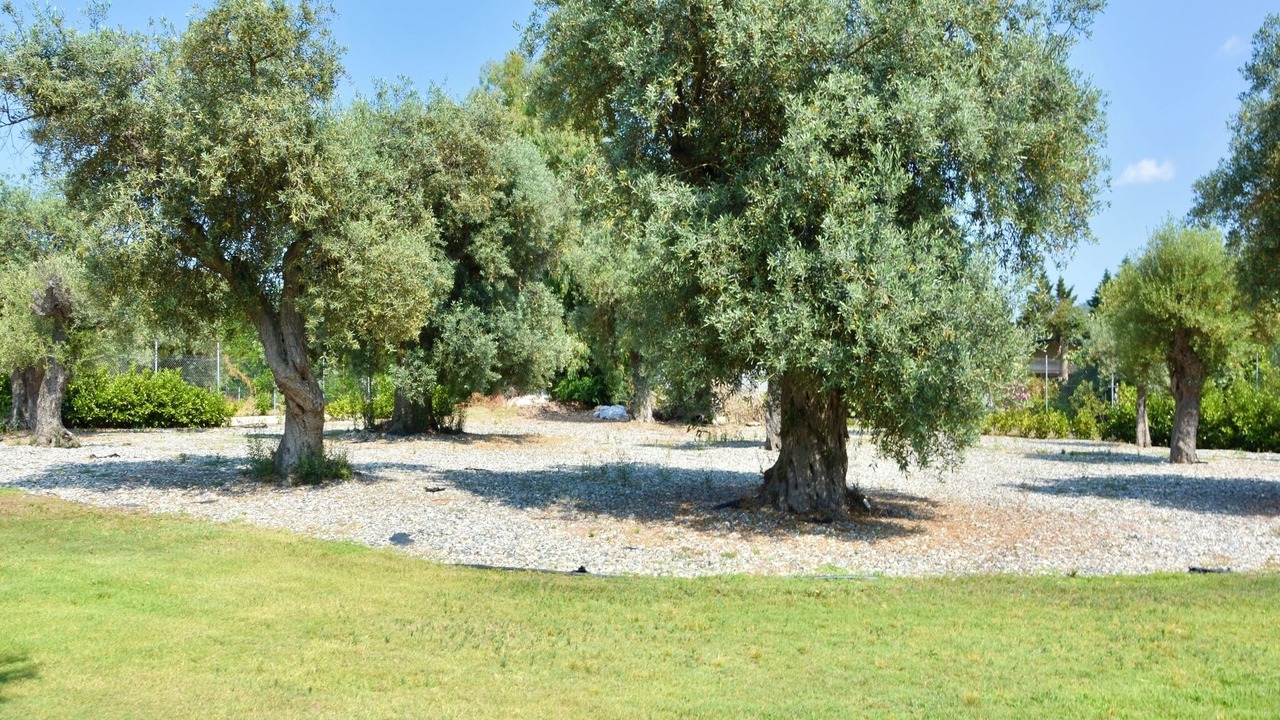 Photo of Others in Vourvourou