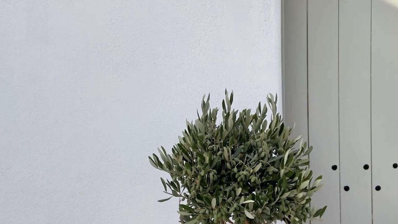 Photo of Outdoor in Emporio