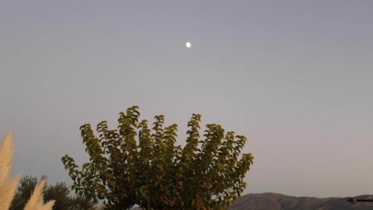Photo of Others in Kamilari