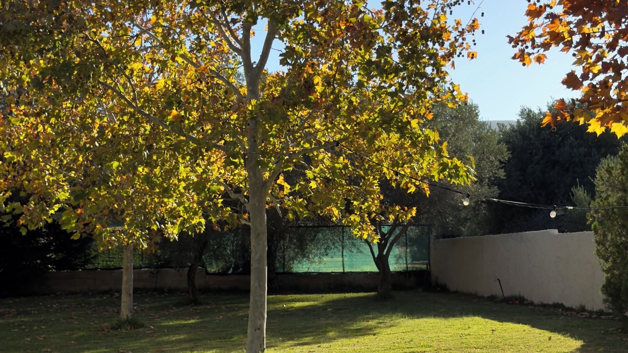 Photo of Outdoor in Marathon