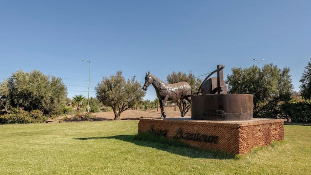 Photo of Outdoor in Daoudiate
