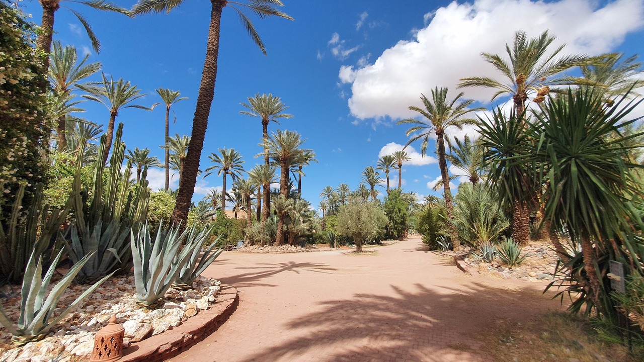 Photo of Outdoor in Palmeraie