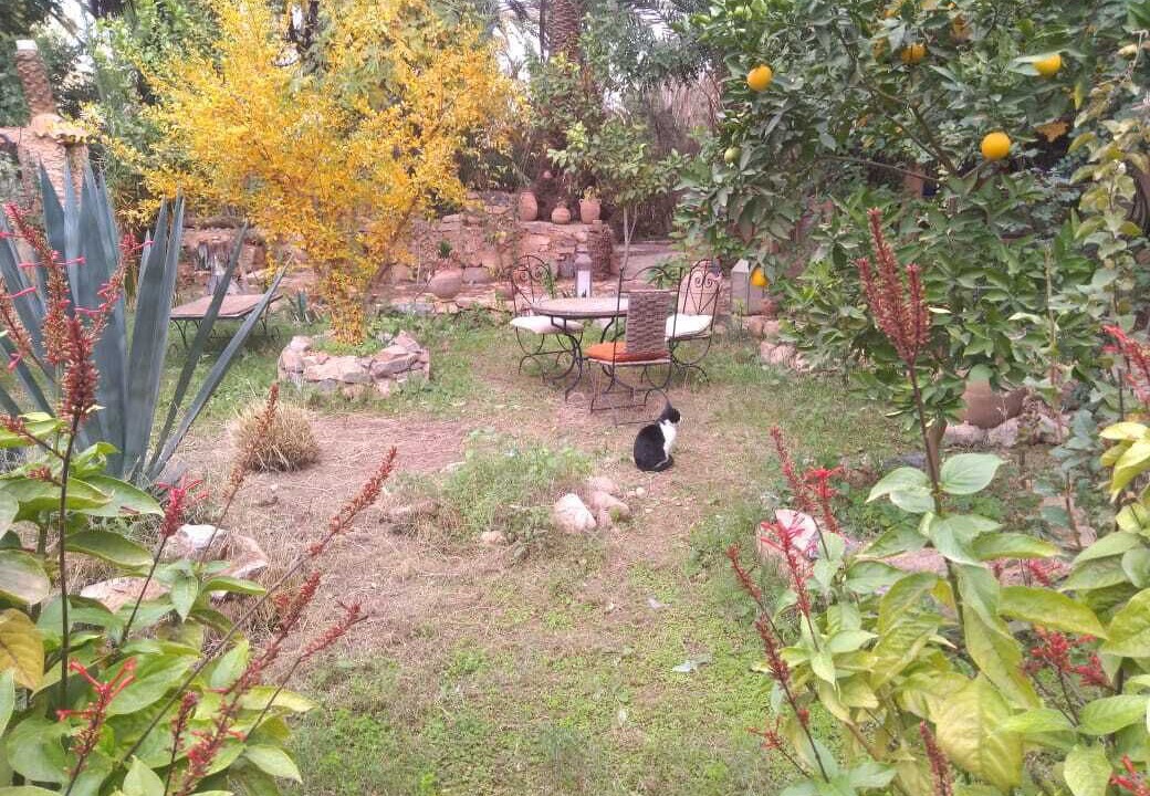 Photo of Outdoor in Tiout