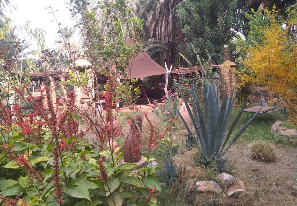 Photo of Outdoor in Tiout